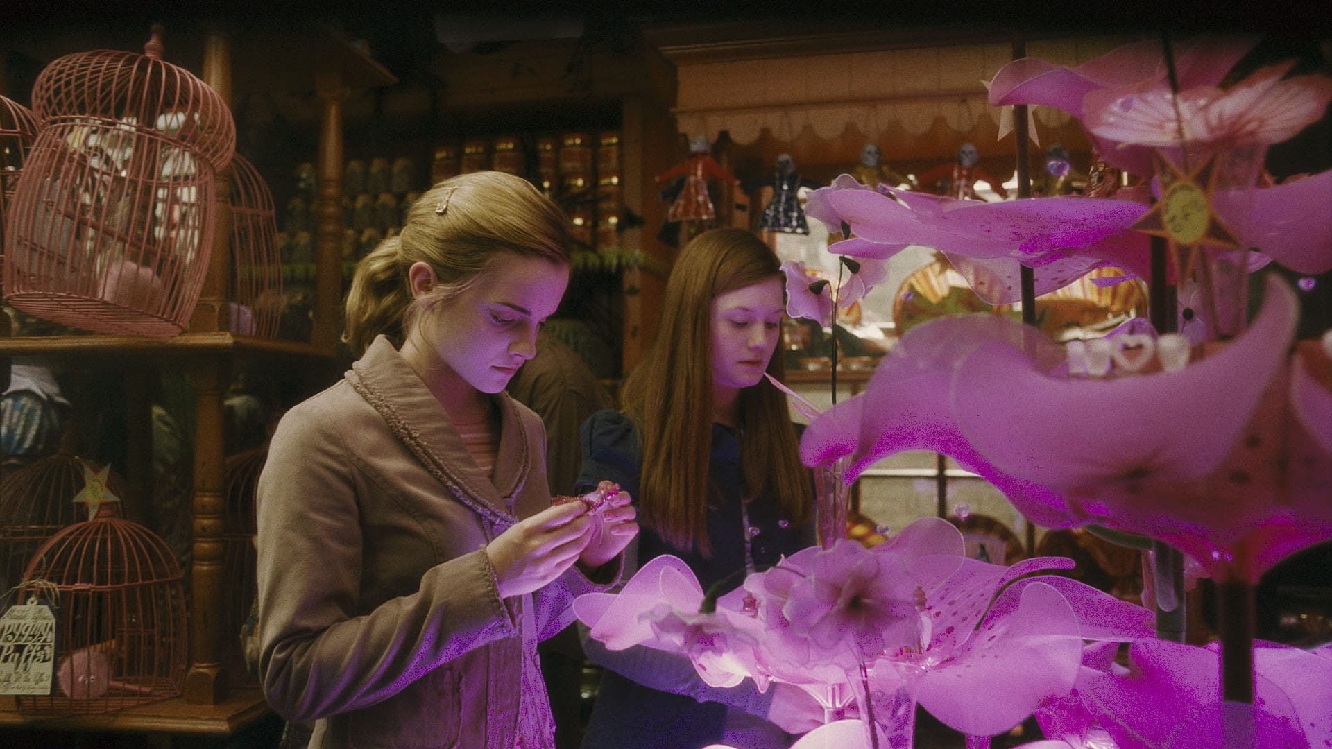 Hermione Granger e Gina Weasley admiram poções do amor na loja dos gêmeos Weasley